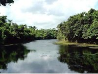 logo de Ariguanabo